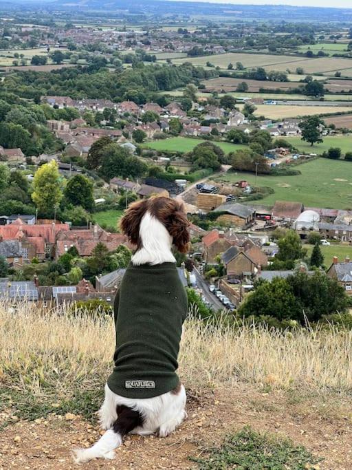 Spaniel Cottage With Views Of Ham Hill, Stoke Sub Hamdon Martock Esterno foto