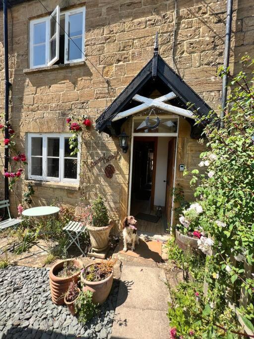 Spaniel Cottage With Views Of Ham Hill, Stoke Sub Hamdon Martock Esterno foto